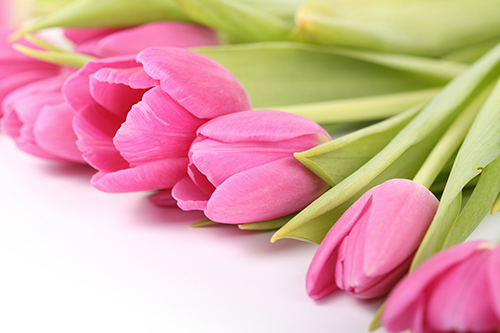 Mode Geschäft für Senioren